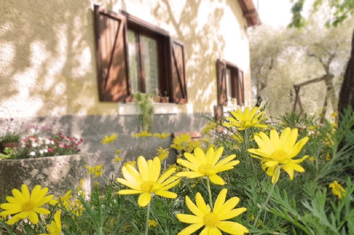 Agriturismo Macchiapiede Sala Consilina Eksteriør bilde